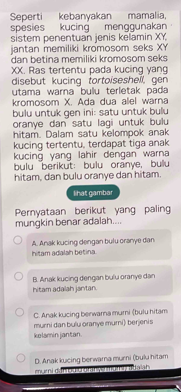 Seperti kebanyakan mamalia,
spesies kucing menggunakan
sistem penentuan jenis kelamin XY,
jantan memiliki kromosom seks XY
dan betina memiliki kromosom seks
XX. Ras tertentu pada kucing yang
disebut kucing tortoiseshell, gen
utama warna bulu terletak pada
kromosom X. Ada dua alel warna
bulu untuk gen ini: satu untuk bulu
oranye dan satu lagi untuk bulu
hitam. Dalam satu kelompok anak
kucing tertentu, terdapat tiga anak
kucing yang lahir dengan warna
bulu berikut: bulu oranye, bulu
hitam, dan bulu oranye dan hitam.
lihat gambar
Pernyataan berikut yang paling
mungkin benar adalah....
A. Anak kucing dengan bulu oranye dan
hitam adalah betina.
B. Anak kucing dengan bulu oranye dan
hitam adalah jantan.
C. Anak kucing berwarna murni (bulu hitam
murni dan bulu oranye murni) berjenis
kelamin jantan.
D. Anak kucing berwarna murni (bulu hitam
murni dan buiu oranye murni) adalah