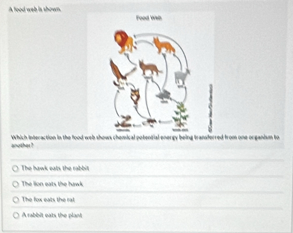 Solved: A food web is shown. Which interaction in the food web shows ...