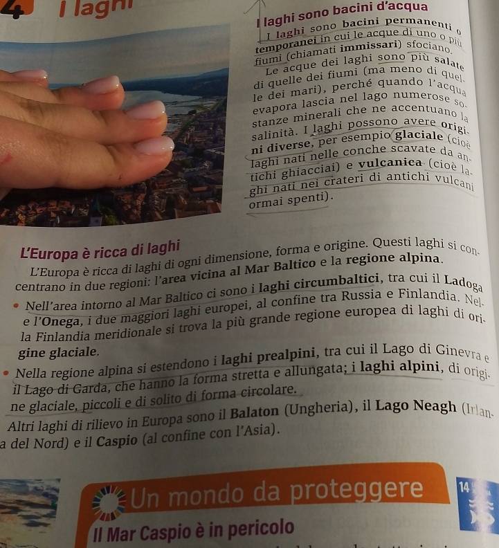 lagni 
I laghi sono bacini d’acqua 
I laghi sono bacini permanenti 
temporanei in cui le acque di uno o pi 
fiumi (chiamati immissari) sfociano 
Le acque dei laghi sono più salate 
di guelle dei fiumi (ma meno di que| 
e dei mari), perché quando l'acqua 
vapora lascia nel lago numerose so 
tanze minerali che ne accentuano la 
alinità. I laghi possono avere origi 
ni diverse, per esempio glaciale (cie 
aghi nati nelle conche scavate da an 
ichi ghiacciai) e vulcanica (cioè la 
hi nati nei crateri di antichi vulcan 
rmai spenti). 
L'Europa è ricca di laghi 
L'Europa è ricca di laghi di ogni dimensione, forma e origine. Questi laghi si con 
centrano in due regioni: l'area vicina al Mar Baltico e la regione alpina. 
Nell’area intorno al Mar Baltico ci sono i Iaghi circumbalticí, tra cui il Ladoga 
e l’Onega, i due maggiori laghi europei, al confine tra Russia e Finlandia. Nel 
la Finlandia meridionale si trova la più grande regione europea di laghi di ori- 
gine glaciale. 
Nella regione alpina si estendono i laghi prealpini, tra cui il Lago di Ginevra e 
il Lago di Garda, che hanno la forma stretta e allungata; i laghi alpini, di origi 
ne glaciale, piccoli e di solito di forma circolare. 
Altri laghi di rilievo in Europa sono il Balaton (Ungheria), il Lago Neagh (Iran 
a del Nord) e il Caspio (al confine con l’Asia). 
Un mondo da proteggere 
Il Mar Caspio è in pericolo