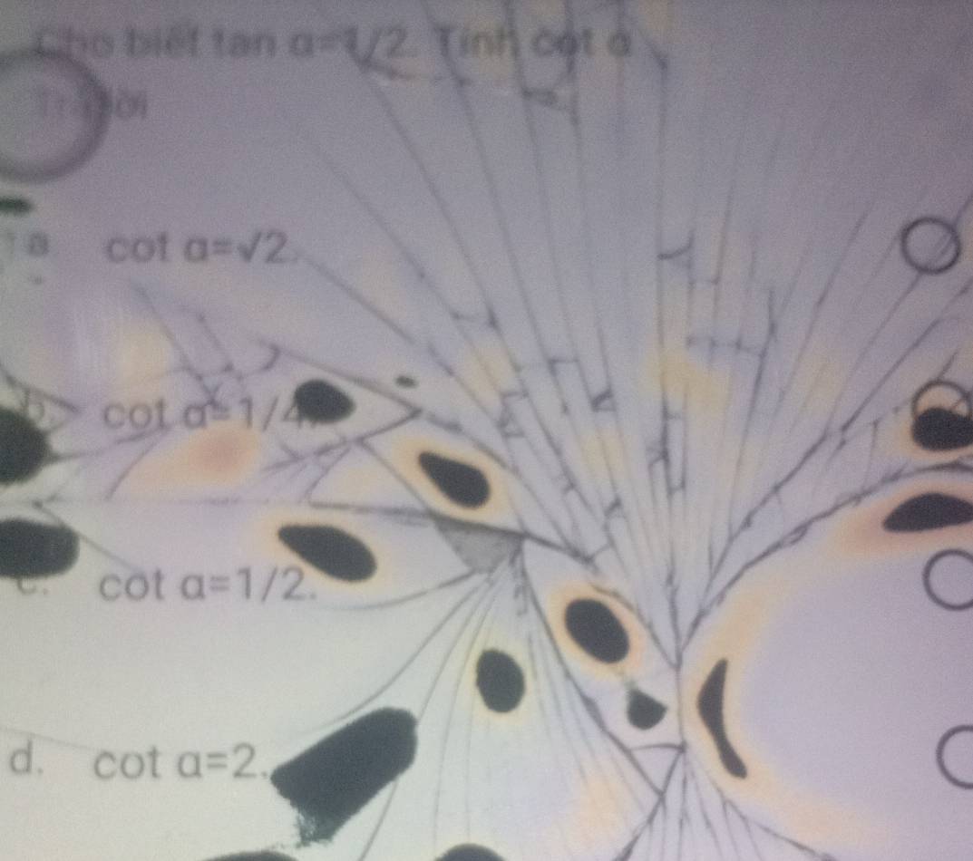 Cho biếf tan a=1/2 Tinh cot à
Tì iàn
cot a=sqrt(2).
cot alpha =1/=1/ C
C. cot alpha =1/2.
d. cot a=2.