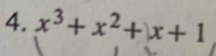 x^3+x^2+x+1