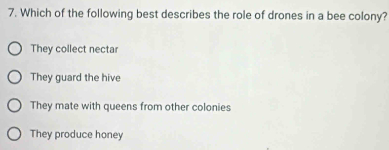 Which of the following best describes the role of drones in a bee colony?
They collect nectar
They guard the hive
They mate with queens from other colonies
They produce honey