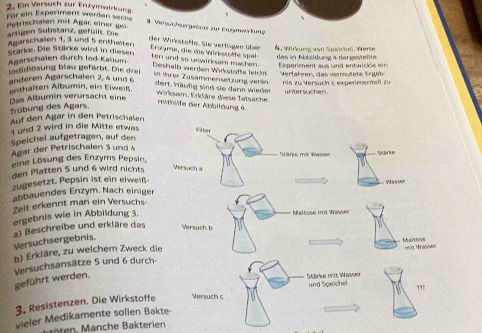 Ein Versuch zur Enzymwirkung
3

Für ein Experiment werden sechs 3 Versuchsergebnis zur Enzymwirkung
Petrischalen mit Agar, einer gel
artigen Substanz, gefüllt. Die
Agarschalen 1, 3 und 5 enthalten
der Wirkstoffe. Sie verfügen über 4. Wirkung von Speichel Werte
Stärke. Die Stärke wird in diesen
Enzyme, die die Wirkstoffe spal- das in Abbildung 4 dargestellte
Agarschalen durch Iod-Kalium
ten und so unwirksam machen. Experiment aus und entwickle ein
Deshalb werden Wirkstoffe leicht Verfähren, das vermutete Ergeb
Iodidlösung blau gefärbt. Die drei in ihrer Zusammensetzung verän nis zu Versuch c experimentell zu
anderen Agarschalen 2, 4 und 6
dert. Häufig sind sie dann wieder
enthalten Albumin, ein Eiweiß. untersuchen.
wirksam. Erkläre diese Tatsache
Das Albumin verursacht eine
Trübung des Agars.
mithilfe der Abbildung 4.
Auf den Ägar in den Petrischalen
1 und 2 wird in die Mitte etwas
Speichel aufgetragen, auf den
Agar der Petrischalen 3 und 4
eine Lösung des Enzyms Pepsin,
den Platten 5 und 6 wird nichts 
zugesetzt. Pepsin ist ein eiweiß 
abbauendes Enzym. Nach einiger
Zeit erkennt man ein Versuchs-
ergebnis wie in Abbildung 3.
a) Beschreibe und erkläre das 
Versuchsergebnis.
b) Erkläre, zu welchem Zweck di
Versuchsansätze 5 und 6 durch-
geführt werden.
3. Resistenzen. Die Wirkstoffe
vieler Medikamente sollen Ba
ö t n          terie