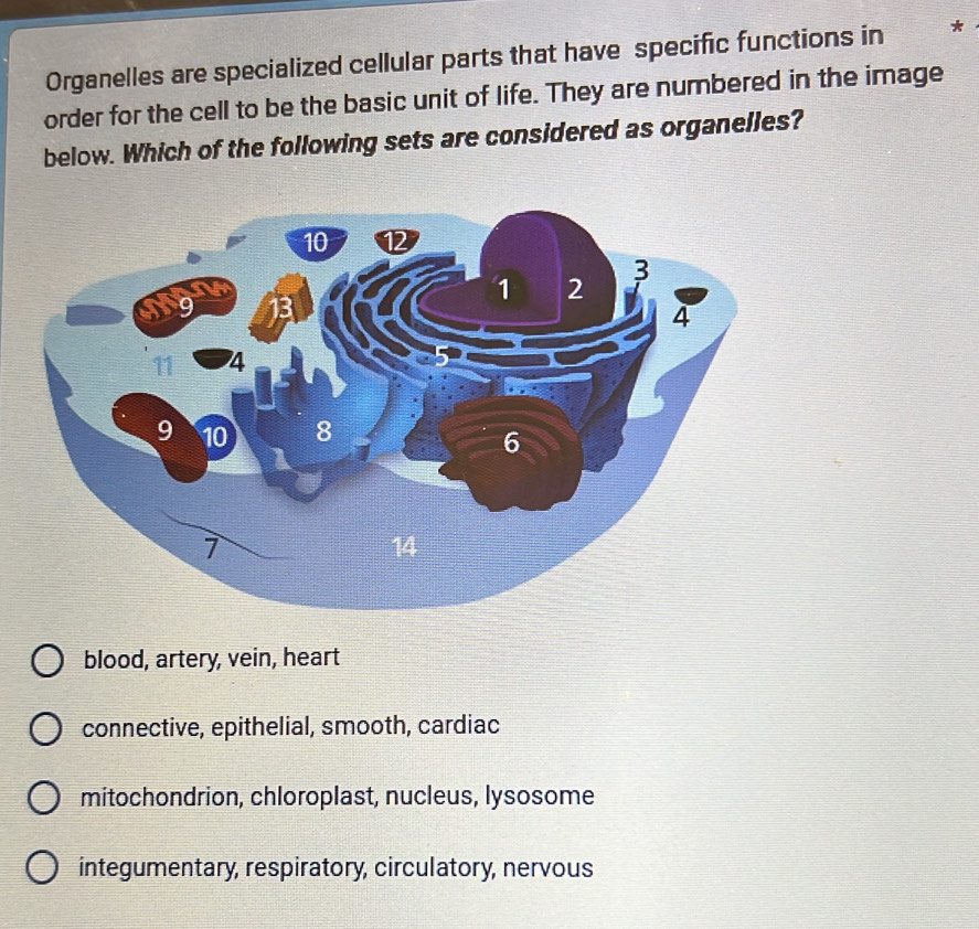 Organelles are specialized cellular parts that have specific functions in *
order for the cell to be the basic unit of life. They are numbered in the image
below. Which of the following sets are considered as organelles?
blood, artery, vein, heart
connective, epithelial, smooth, cardiac
mitochondrion, chloroplast, nucleus, lysosome
integumentary, respiratory, circulatory, nervous