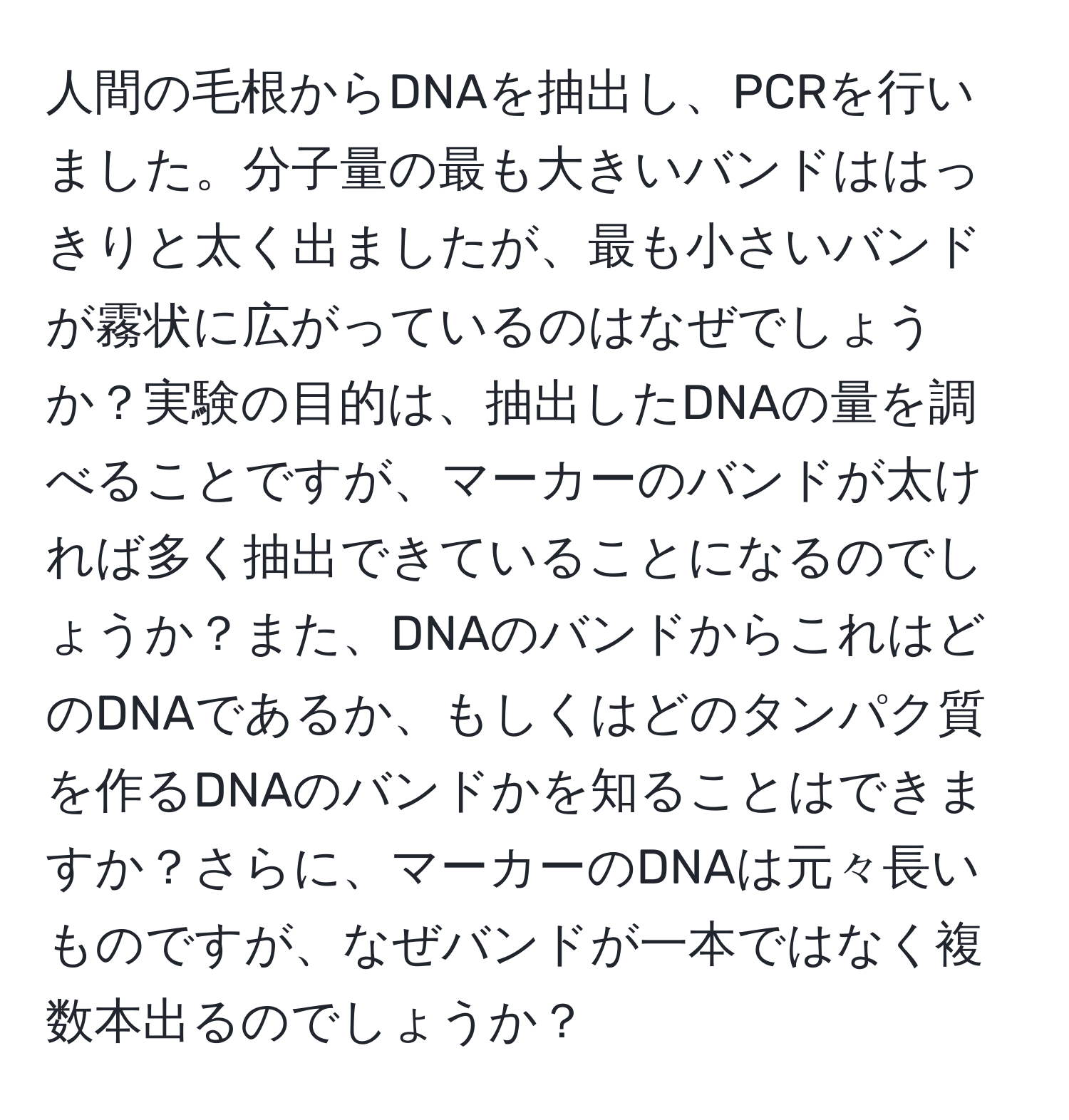 人間の毛根からDNAを抽出し、PCRを行いました。分子量の最も大きいバンドははっきりと太く出ましたが、最も小さいバンドが霧状に広がっているのはなぜでしょうか？実験の目的は、抽出したDNAの量を調べることですが、マーカーのバンドが太ければ多く抽出できていることになるのでしょうか？また、DNAのバンドからこれはどのDNAであるか、もしくはどのタンパク質を作るDNAのバンドかを知ることはできますか？さらに、マーカーのDNAは元々長いものですが、なぜバンドが一本ではなく複数本出るのでしょうか？