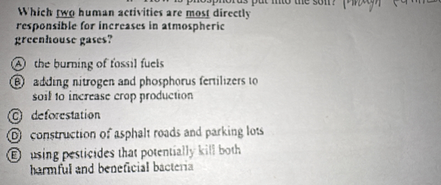 he som 
Which two human activities are most directly
responsible for increases in atmospheric
greenhouse gases?
A the burning of fossil fuels
adding nitrogen and phosphorus fertilizers to
soil to increase crop production
C deforestation
D construction of asphalt roads and parking lots
E ousing pesticides that potentially kill both
harmful and beneficial bacteria