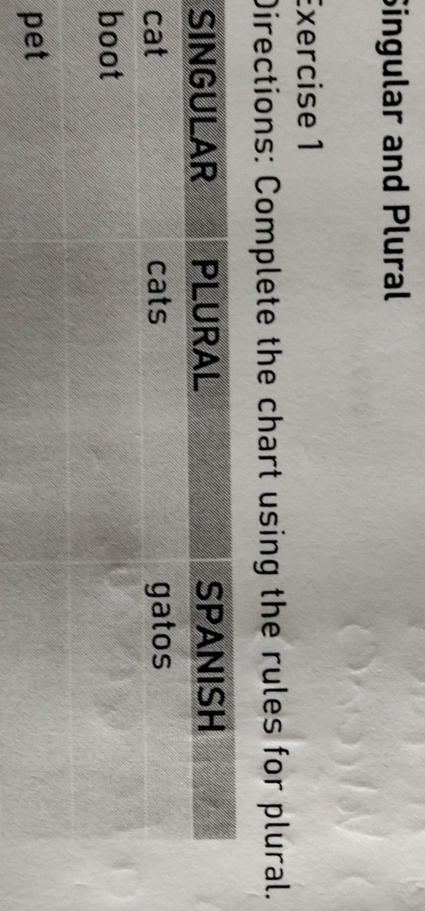 Singular and Plural 
Exercise 1 
Directions: Complete the chart using the rules for plural.