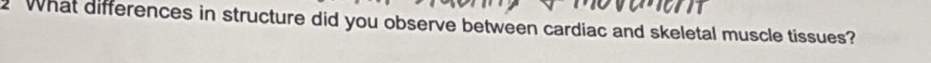 What differences in structure did you observe between cardiac and skeletal muscle tissues?