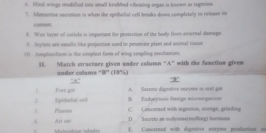 Hind wings modified into small knobbed vibrating organ is known as tagmina.
7. Merocrine secretion is when the epithelial cell breaks down completely to release its
content.
8. Wax layer of cuticle is important for protection of the body from external damage.
9. Stylets are needle like projection used to penetrate plant and animal tissue
10. Amplexiform is the simplest form of wing coupling mechanism.
H. Match structure given under column “A” with the function given
under column “B” (10%)
“A”
“B”
1. Fore gut A. Secrete digestive enzyme in mid gut
2. Epithelial cell B. Endocytosis foreign microorganism
3. Plasma C. Concerned with ingestion, storage, grinding
4. Air sac D. Secrete an ecdysone(molting) hormone
Malpighian tubules E. Concerned with digestive enzyme production an