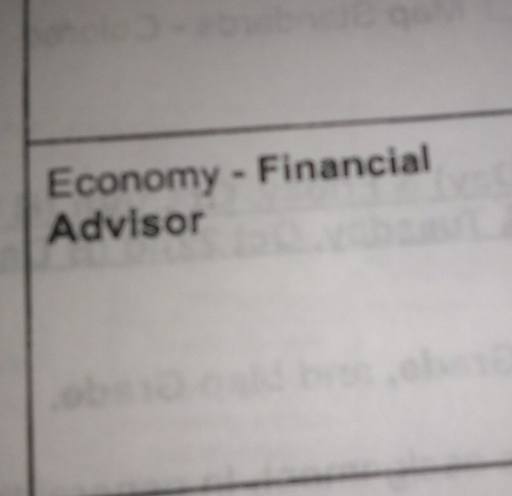 Economy - Financial 
Advisor