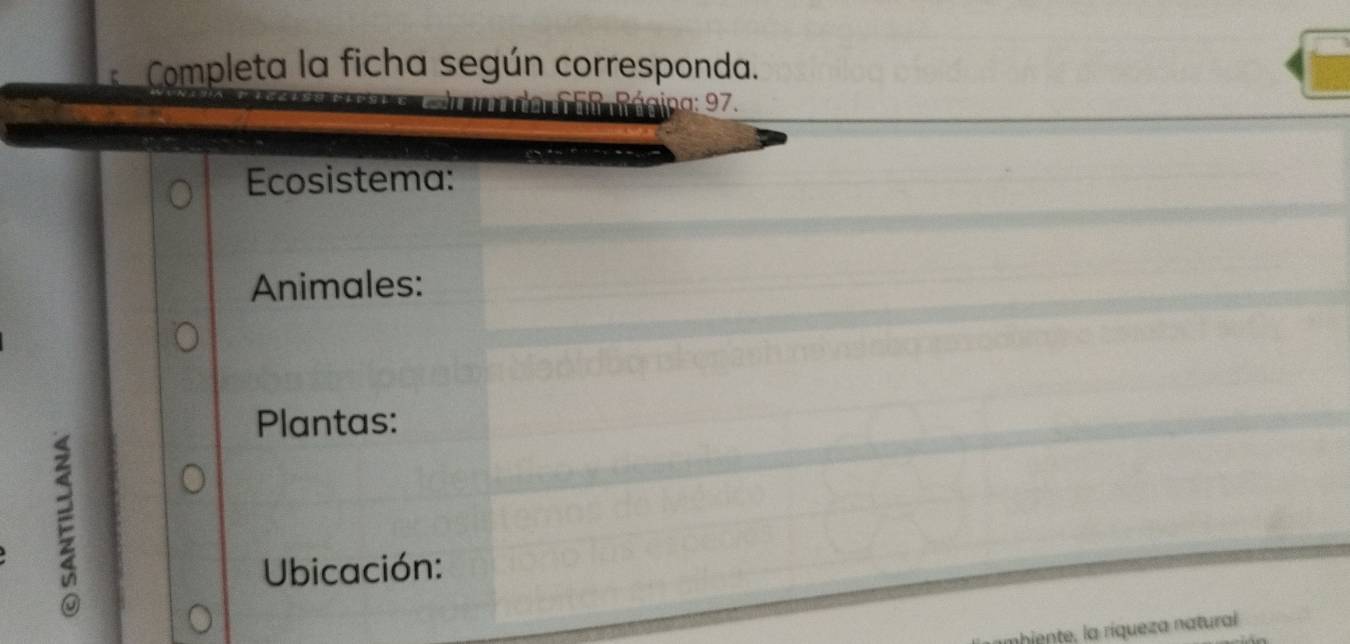 Completa la ficha según corresponda. 
En iartersTan trágina: 97. 
Ecosistema: 
Animales: 
Plantas: 
E 
Ubicación: 
hiente, la riqueza natural