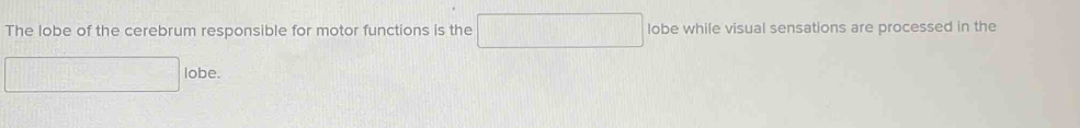 The lobe of the cerebrum responsible for motor functions is the lobe while visual sensations are processed in the 
lobe.