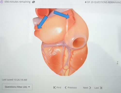 694 minutes remaining 4 OF 20 QUESTIONS REMAINING 
Last saved 10:26:18 AM 
Questions Filter (20) K First Previous Next Last>