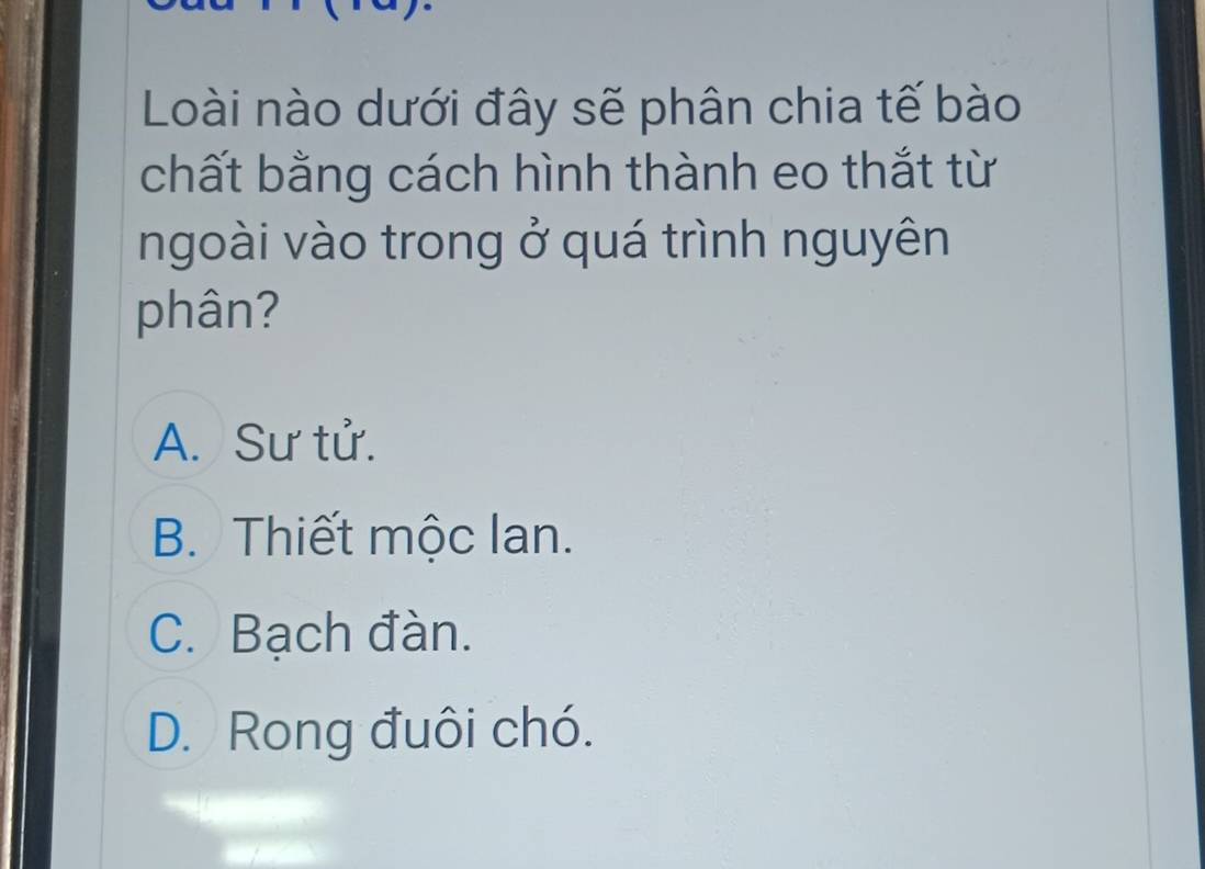 Loài nào dưới đây sẽ phân chia tế bào
chất bằng cách hình thành eo thắt từ
ngoài vào trong ở quá trình nguyên
phân?
A. Sư tử.
B. Thiết mộc lan.
C. Bạch đàn.
D. Rong đuôi chó.