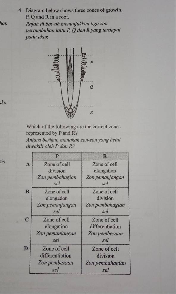 Diagram below shows three zones of growth,
P, Q and R in a root. 
han Rajah di bawah menunjukkan tiga zon
pertumbuhan iaitu P, Q dan R yang terdapat 
pada akar.
P
Q
ıku
R
Which of the following are the correct zones 
represented by P and R? 
Antara berikut, manakah zon-zon yang betul 
diwakili oleh P dan R? 
sis