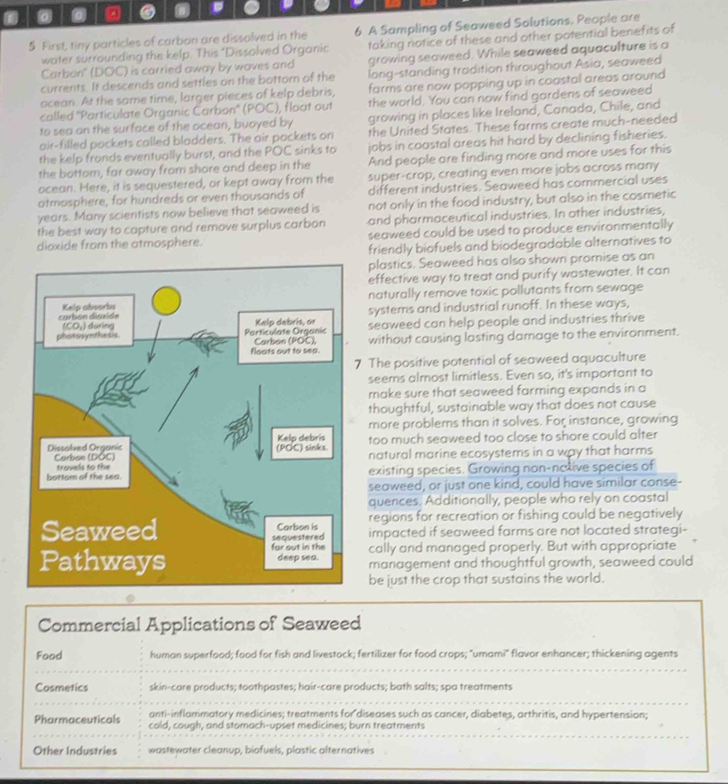 0 6
5 First, tiny particles of carbon are dissolved in the 6 A Sampling of Seaweed Solutions, People are
water surrounding the kelp. This "Dissolved Organic taking notice of these and other potential benefits of
Carbon' (DOC) is carried away by waves and growing seaweed. While seaweed aquaculture is a
currents. It descends and settles on the bottom of the long-standing tradition throughout Asia, seaweed
acean. At the same time, larger pieces of kelp debris, farms are now popping up in coastal areas around 
called ''Particulate Organic Carbon'' (POC), float out the world. You can now find gardens of seaweed
to sea on the surface of the ocean, buoyed by growing in places like Ireland, Canada, Chile, and
air-filled pockets called bladders. The air pockets on the United States. These farms create much-needed
the kelp fronds eventually burst, and the POC sinks to jobs in coostal areas hit hard by declining fisheries.
the bottom, far away from shore and deep in the And people are finding more and more uses for this
ocean. Here, it is sequestered, or kept away from the super-crop, creating even more jobs across many
atmosphere, for hundreds or even thousands of different industries. Seaweed has commercial uses
years. Many scientists now believe that seaweed is not only in the food industry, but also in the cosmetic
the best way to capture and remove surplus carbon and pharmaceutical industries. In other industries,
dioxide from the atmosphere. seaweed could be used to produce environmentally
friendly biofuels and biodegradable alternatives to
plastics. Seaweed has also shown promise as an
effective way to treat and purify wastewater. It can
naturally remove toxic pollutants from sewage
systems and industrial runoff. In these ways,
seaweed can help people and industries thrive
without causing lasting damage to the environment.
The positive potential of seaweed aquaculture
seems almost limitless. Even so, it's important to
make sure that seaweed farming expands in a
thoughtful, sustainable way that does not cause
more problems than it solves. For instance, growing
too much seaweed too close to shore could alter
natural marine ecosystems in a way that harms
existing species. Growing non-notive species of
seaweed, or just one kind, could have similar conse-
quences. Additionally, people who rely on coastal
regions for recreation or fishing could be negatively
impacted if seaweed farms are not located strategi-
cally and managed properly. But with appropriate
management and thoughtful growth, seaweed could
be just the crop that sustains the world.
Commercial Applications of Seaweed
Food human superfood; food for fish and livestock; fertilizer for food crops; "umami" flavor enhancer; thickening agents
Cosmetics skin-care products; toothpastes; hair-care products; bath salts; spa treatments
anti-inflammatory medicines; treatments for diseases such as cancer, diabetes, arthritis, and hypertension;
Pharmaceuticals cold, cough, and stomach-upset medicines; burn treatments
Other Industries wastewater cleanup, biofuels, plastic alternatives