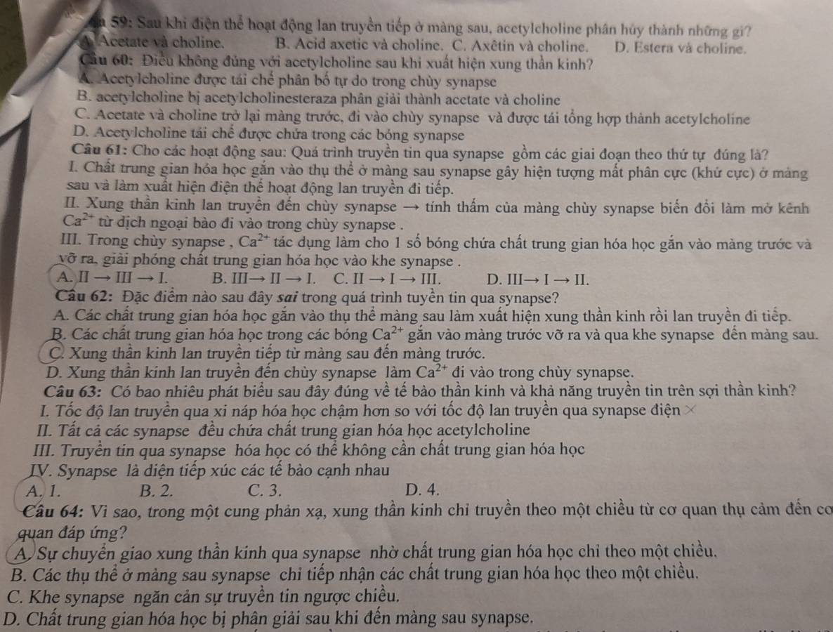 a 59: Sau khi điện thể hoạt động lan truyền tiếp ở màng sau, acetylcholine phân hủy thành những gi?
A Acetate và choline. B. Acid axetic và choline. C. Axêtin và choline. D. Estera và choline.
Cầu 60: Điều không đủng với acetylcholine sau khi xuất hiện xung thần kinh?
A. Acetylcholine được tái chế phân bố tự do trong chùy synapse
B. acetylcholine bị acetylcholinesteraza phân giải thành acetate và choline
C. Acetate và choline trở lại màng trước, đi vào chùy synapse và được tái tổng hợp thành acetylcholine
D. Acetylcholine tái chế được chứa trong các bóng synapse
Câu 61: Cho các hoạt động sau: Quá trình truyền tin qua synapse gồm các giai đoạn theo thứ tự đúng là?
I. Chất trung gian hóa học gắn vào thụ thể ở màng sau synapse gây hiện tượng mất phân cực (khứ cực) ở mảng
sau và làm xuất hiện điện thể hoạt động lan truyền đi tiếp.
II. Xung thần kinh lan truyền đến chùy synapse → tính thấm của màng chùy synapse biến đổi làm mở kênh
Ca^(2+) từ dịch ngoại bào đi vào trong chùy synapse .
III. Trong chùy synapse , Ca^(2+) tác dụng làm cho 1 số bóng chứa chất trung gian hóa học gắn vào màng trước và
vỡ ra, giải phóng chất trung gian hóa học vào khe synapse .
A. II → III → I. B. III→ II − I. C. II → I → III. D. III→ I → II.
Cầu 62: Đặc điểm nào sau đây sai trong quá trình tuyền tin qua synapse?
A. Các chất trung gian hóa học găn vào thụ thể màng sau làm xuất hiện xung thần kinh rồi lan truyền đi tiếp.
B. Các chất trung gian hóa học trong các bóng Ca^(2+) găn vào màng trước vỡ ra và qua khe synapse đến màng sau.
C. Xung thần kinh lan truyền tiếp từ màng sau đến màng trước.
D. Xung thần kinh lan truyền đến chùy synapse làm Ca^(2+) đi vào trong chùy synapse.
Câu 63: Có bao nhiêu phát biểu sau đây đúng về tế bào thần kinh và khả năng truyền tin trên sợi thần kinh?
I. Tốc độ lan truyền qua xi náp hóa học chậm hơn so với tốc độ lan truyền qua synapse điện
II. Tất cả các synapse đều chứa chất trung gian hóa học acetylcholine
III. Truyền tin qua synapse hóa học có thể không cần chất trung gian hóa học
IV. Synapse là diện tiếp xúc các tế bào cạnh nhau
A. 1. B. 2. C. 3. D. 4.
Câu 64: Vì sao, trong một cung phản xạ, xung thần kinh chỉ truyền theo một chiều từ cơ quan thụ cảm đến cơ
quan đáp ứng?
A Sự chuyển giao xung thần kinh qua synapse nhờ chất trung gian hóa học chỉ theo một chiều.
B. Các thụ thể ở màng sau synapse chỉ tiếp nhận các chất trung gian hóa học theo một chiều.
C. Khe synapse ngăn cản sự truyền tin ngược chiều.
D. Chất trung gian hóa học bị phân giải sau khi đến màng sau synapse.