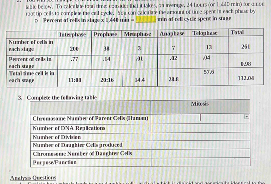 table below. To calculate total time: consider that it takes, on average, 24 hours (or 1,440 min) for onion
root tip cells to complete the cell cycle. You can calculate the amount of time spent in each phase by
0 Percent of cells in stage x1,440min= _ min of cell cycle spent in stage
Analysis Questions
aughter cells, each of which is diploid and genetically identical to the