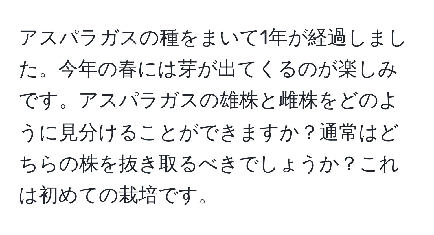 アスパラガスの種をまいて1年が経過しました。今年の春には芽が出てくるのが楽しみです。アスパラガスの雄株と雌株をどのように見分けることができますか？通常はどちらの株を抜き取るべきでしょうか？これは初めての栽培です。