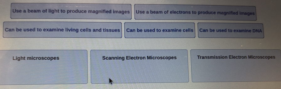 Use a beam of light to produce magnified images Use a beam of electrons to produce magnified images
Can be used to examine living cells and tissues Can be used to examine cells Can be used to examine DNA
Light microscopes Scanning Electron Microscopes Transmission Electron Microscopes