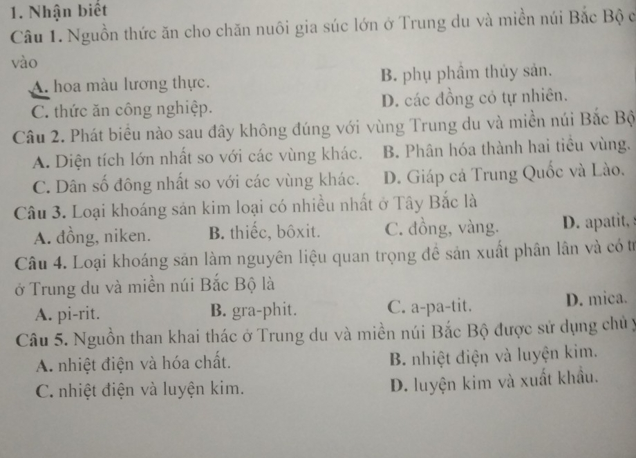 Nhận biết
Câu 1. Nguồn thức ăn cho chăn nuôi gia súc lớn ở Trung du và miền núi Bắc Bộ c
vào
A. hoa màu lương thực. B. phụ phâm thủy sản.
C. thức ăn công nghiệp. D. các đồng có tự nhiên.
Câu 2. Phát biểu nào sau đây không đúng với vùng Trung du và miền núi Bắc Bộ
A. Diện tích lớn nhất so với các vùng khác. B. Phân hóa thành hai tiều vùng.
C. Dân số đông nhất so với các vùng khác. D. Giáp cá Trung Quốc và Lào.
Câu 3. Loại khoáng sản kim loại có nhiều nhất ở Tây Bắc là
A. đồng, niken. B. thiếc, bôxit. C. đồng, vàng. D. apatit,
Câu 4. Loại khoáng sản làm nguyên liệu quan trọng đề sản xuất phân lần và có từ
ở Trung du và miền núi Bắc Bộ là
A. pi-rit. B. gra-phit. C. a-pa-tit. D. mica.
Câu 5. Nguồn than khai thác ở Trung du và miền núi Bắc Bộ được sử dụng chủ y
A. nhiệt điện và hóa chất.
B. nhiệt điện và luyện kim.
C. nhiệt điện và luyện kim.
D. luyện kim và xuất khẩu.