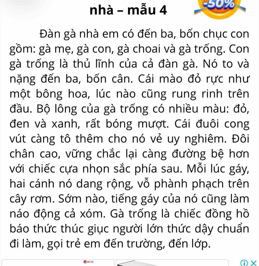 nhà - mẫu 4 
5 
Đàn gà nhà em có đến ba, bốn chục con 
gồm: gà mẹ, gà con, gà choai và gà trống. Con 
gà trống là thủ lĩnh của cả đàn gà. Nó to và 
nặng đến ba, bốn cân. Cái mào đỏ rực như 
một bông hoa, lúc nào cũng rung rinh trên 
đầu. Bộ lông của gà trống có nhiều màu: đỏ, 
đen và xanh, rất bóng mượt. Cái đuôi cong 
vút càng tô thêm cho nó vẻ uy nghiêm. Đôi 
chân cao, vững chắc lại càng đường bệ hơn 
với chiếc cựa nhọn sắc phía sau. Mỗi lúc gáy, 
hai cánh nó dang rộng, vỗ phành phạch trên 
cây rơm. Sớm nào, tiếng gáy của nó cũng làm 
náo động cả xóm. Gà trống là chiếc đồng hồ 
báo thức thúc giục người lớn thức dậy chuẩn 
đi làm, gọi trẻ em đến trường, đến lớp. 
EBI-VN 
A×