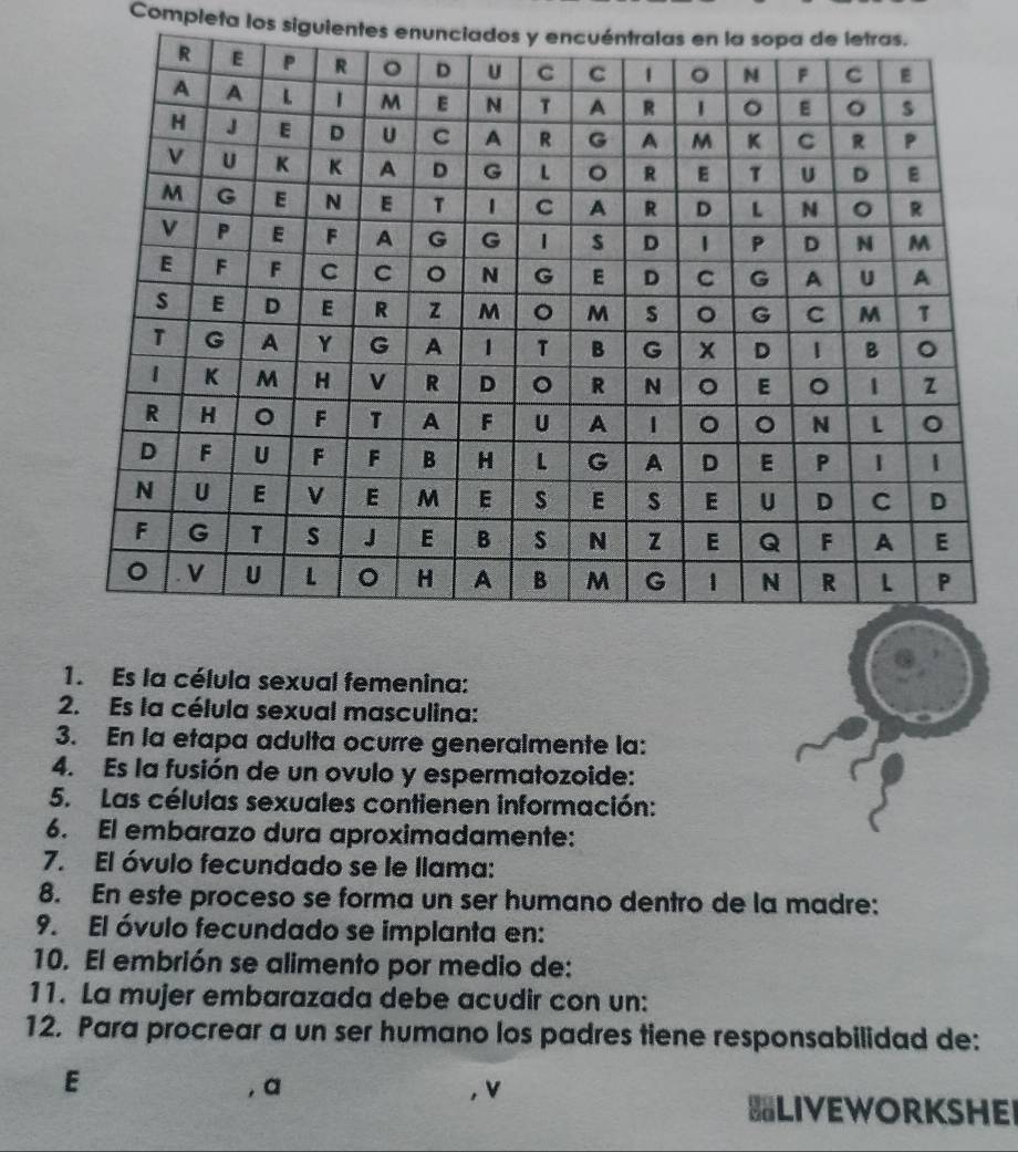 Completa los siguientes enunci 
1. Es la célula sexual femenina: 
2. Es la célula sexual masculina: 
3. En la etapa adulta ocurre generalmente la: 
4. Es la fusión de un ovulo y espermatozoide: 
5. Las células sexuales contienen información: 
6. El embarazo dura aproximadamente: 
7. El óvulo fecundado se le llama: 
8. En este proceso se forma un ser humano dentro de la madre: 
9. El óvulo fecundado se implanta en: 
10. El embrión se alimento por medio de: 
11. La mujer embarazada debe acudir con un: 
12. Para procrear a un ser humano los padres tiene responsabilidad de: 
E , a , v 
BLIVEWORKSHEI