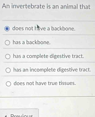 An invertebrate is an animal that
does not he a backbone.
has a backbone.
has a complete digestive tract.
has an incomplete digestive tract.
does not have true tissues.
Provious