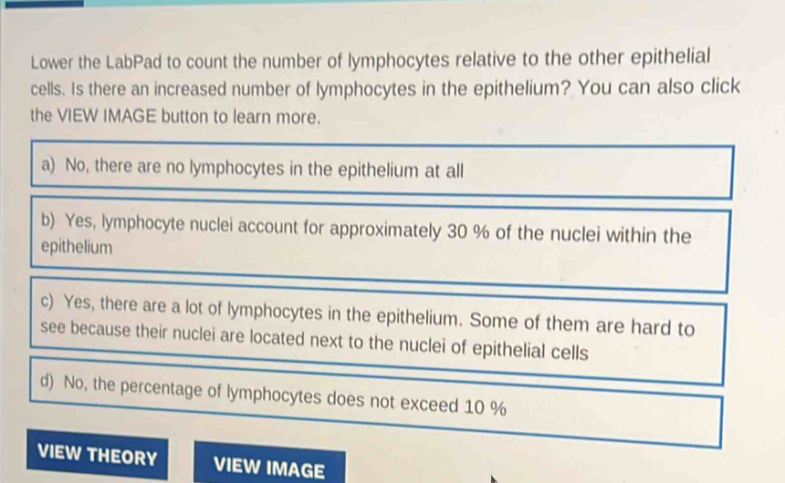 Lower the LabPad to count the number of lymphocytes relative to the other epithelial
cells. Is there an increased number of lymphocytes in the epithelium? You can also click
the VIEW IMAGE button to learn more.
a) No, there are no lymphocytes in the epithelium at all
b) Yes, lymphocyte nuclei account for approximately 30 % of the nuclei within the
epithelium
c) Yes, there are a lot of lymphocytes in the epithelium. Some of them are hard to
see because their nuclei are located next to the nuclei of epithelial cells
d) No, the percentage of lymphocytes does not exceed 10 %
VIEW THEORY VIEW IMAGE