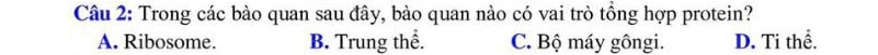Trong các bào quan sau đây, bào quan nào có vai trò tồng hợp protein?
A. Ribosome. B. Trung thể. C. Bộ máy gôngi. D. Ti thể.