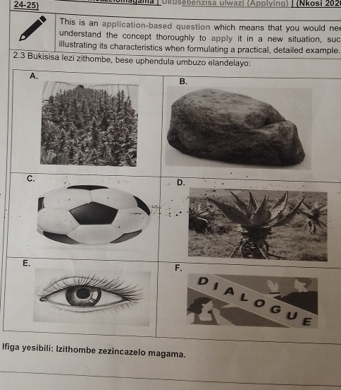 Ukušebenzısa ulwazi (Applying) | (Nkosi 202
This is an application-based question which means that you would ne
understand the concept thoroughly to apply it in a new situation, suc
illustrating its characteristics when formulating a practical, detailed example.
2.3 Bukisisa lezi zithombe, bese uphendula umbuzo elandelayo:
A.
B.
C.
D.
E.
F.
Ifiga yesibili: Izithombe zezincazelo magama.