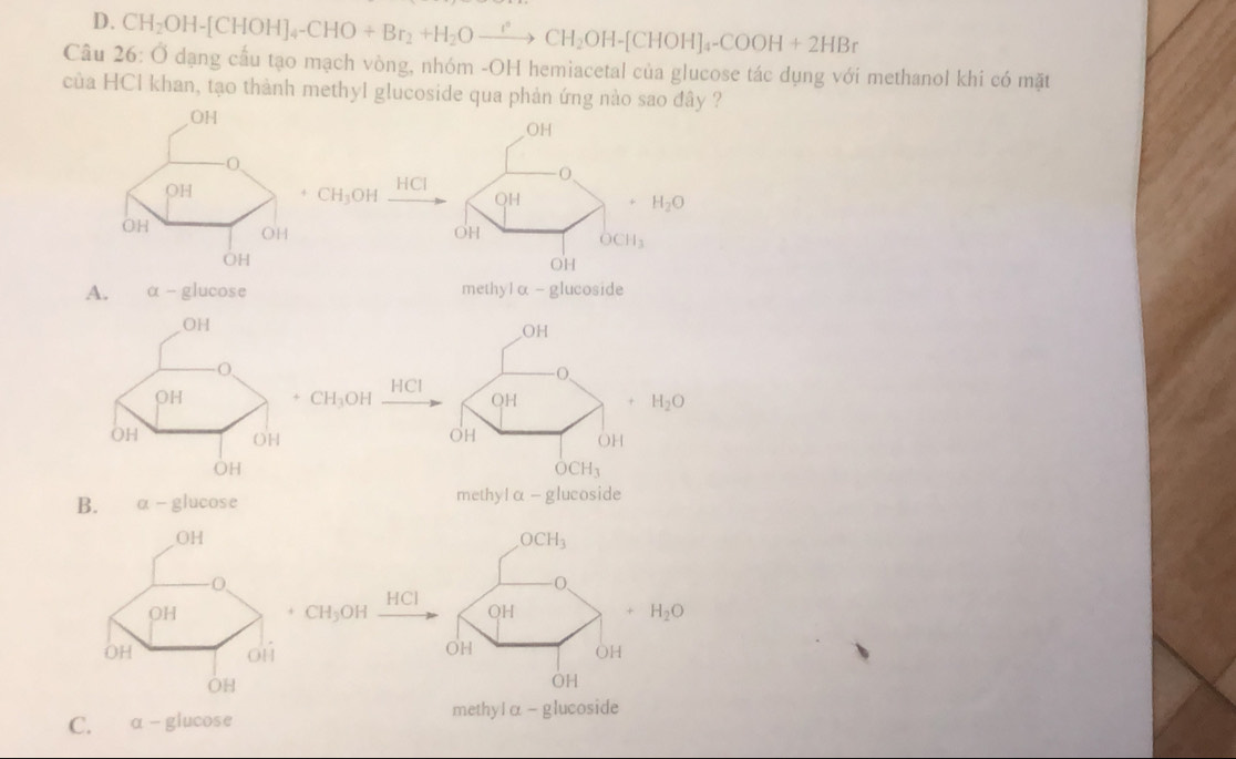 Câu 26° CH_2OH-[CHOH]_4-CHO+Br_2+H_2Oto CH_2OH-[CHOH]_4-COOH+2HBr
Ở dạng cầu tạo mạch vòng, nhóm -OH hemiacetal của glucose tác dụng với methanol khi có mặt
của HCl khan, tạo thành methyl glucoside qua phản ứng nào sao đây ?
OH
CH_3OH HCl
-0
OH
H_2O
OH
OCH_3
OH
A. alpha -glucos e methy1 alpha -1 glucoside
OH
-0
HCI
CH_3OH OH H_2O
OH
OH
OCH_3
B. a-glucos e methy |alpha -g| ucoside
OCH_3
0、
HCI
CH_3 OH OH + H_2O
OH OH
OH
C. α-glucose methylα - glucoside