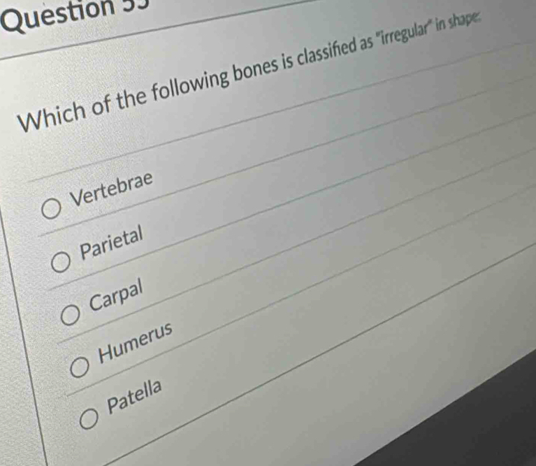 Which of the following bones is classifed as "irregular" in shape
Vertebrae
Parietal
Carpal
Humerus
Patella