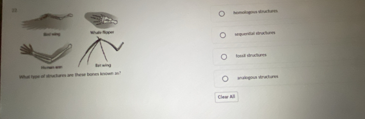 homologous structures
sequential structures
fossil structures
What type of structures are th
analogous structures
Clear All