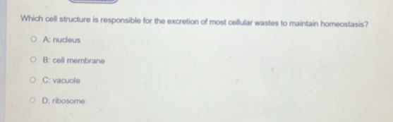 Which cell structure is responsible for the excretion of most cellular wastes to maintain homeostasis?
A: nucleus
B: cell membrane
C: vacuole
D: ribosome