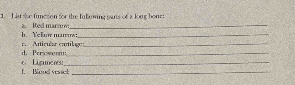 List the function for the following parts of a long bone: 
a. Red marrow:_ 
b. Yellow marrow:_ 
c. Articular cartilage:_ 
d. Periosteum:_ 
e. Ligaments:_ 
f. Blood vessel:_