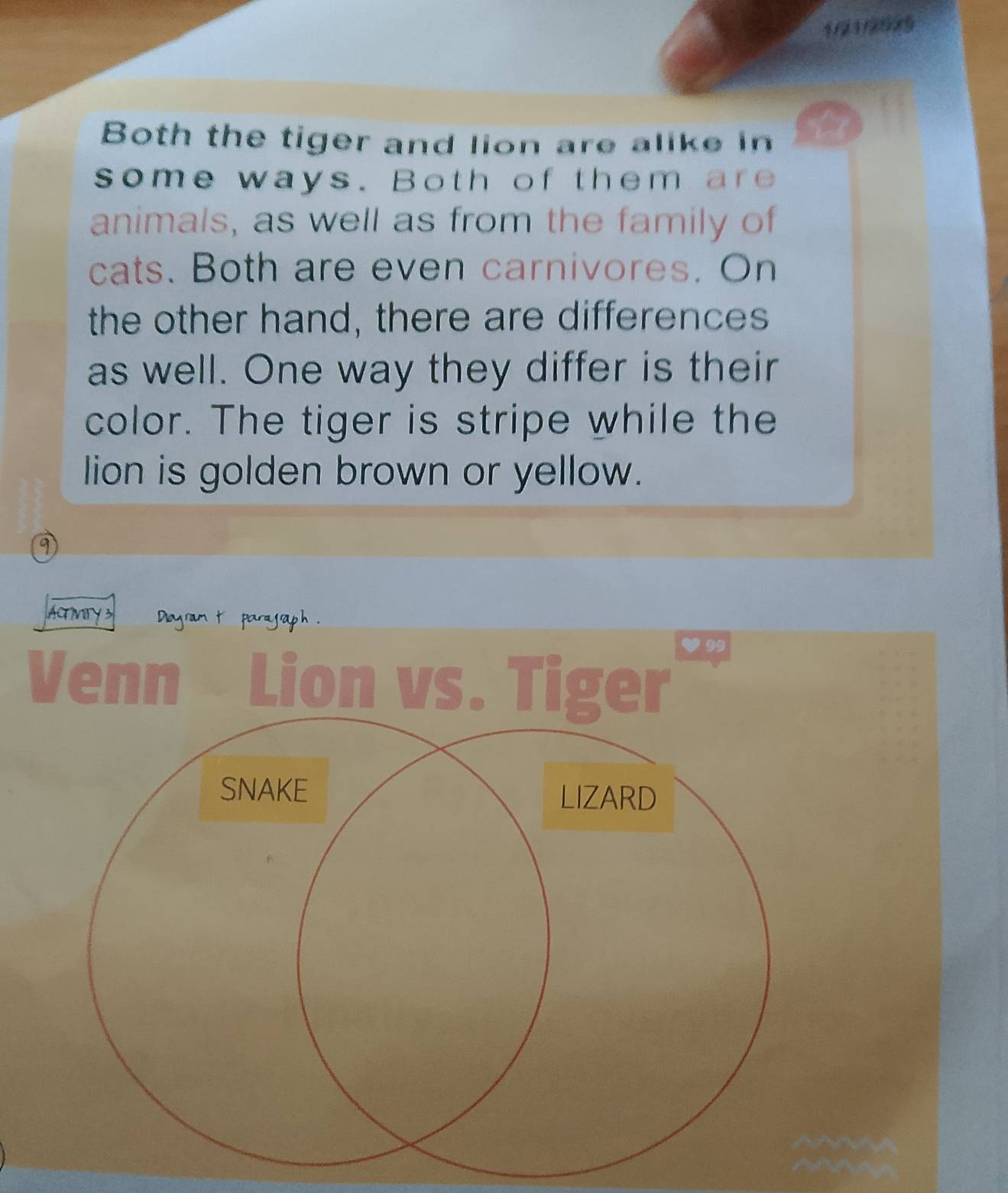 1/21/2025 
Both the tiger and lion are alike in 
some ways. Both of them are 
animals, as well as from the family of 
cats. Both are even carnivores. On 
the other hand, there are differences 
as well. One way they differ is their 
color. The tiger is stripe while the 
lion is golden brown or yellow. 
AG MY 3 Diagram t parayraph . 
Venn Lion vs. Tiger 
SNAKE LIZARD