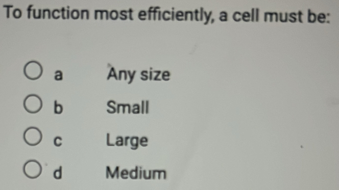 To function most efficiently, a cell must be:
a Any size
b Small
C Large
d Medium