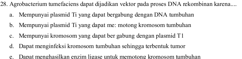 Agrobacterium tumefaciens dapat dijadikan vektor pada proses DNA rekombinan karena....
a. Mempunyai plasmid Ti yang dapat bergabung dengan DNA tumbuhan
b. Mempunyai plasmid Ti yang dapat me: motong kromosom tumbuhan
c. Mempunyai kromosom yang dapat ber gabung dengan plasmid T1
d. Dapat menginfeksi kromosom tumbuhan sehingga terbentuk tumor
e. Dapat menghasilkan enzim ligase untuk memotong kromosom tumbuhan