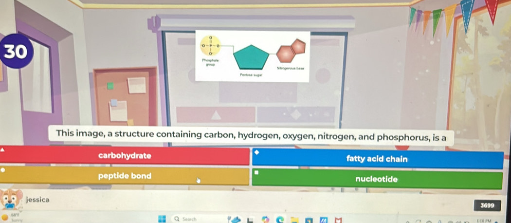 30
Phosphate group 
Nitrogenous base 
Pentose sugar 
This image, a structure containing carbon, hydrogen, oxygen, nitrogen, and phosphorus, is a 
carbohydrate fatty acid chain 
. 
peptide bond nucleotide 
jessica 3699 
68° Search