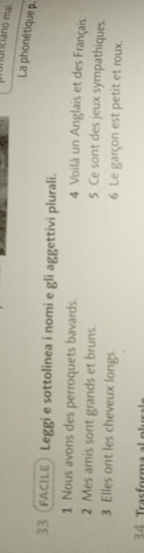 unciano maí. 
La phonétique p. 
33 (FACILE) Leggi e sottolinea i nomi e gli aggettivi plurali. 
1 Nous avons des perroquets bavards. 
4 Voilà un Anglais et des Français. 
2 Mes amis sont grands et bruns. 
5 Ce sont des jeux sympathiques. 
3 Elles ont les cheveux longs. 6 Le garçon est petit et roux. 
34 Trasforma a p