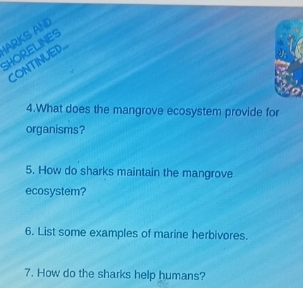 ARKS AND 
SHORELINES 
CONTINUED.. 
4.What does the mangrove ecosystem provide for 
organisms? 
5. How do sharks maintain the mangrove 
ecosystem? 
6. List some examples of marine herbivores. 
7. How do the sharks help humans?