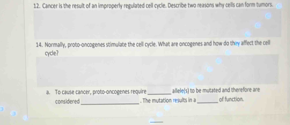 Cancer is the result of an improperly regulated cell cycle. Describe two reasons why cells can form tumors. 
14. Normally, proto-oncogenes stimulate the cell cycle. What are oncogenes and how do they affect the cell 
cycle? 
a. To cause cancer, proto-oncogenes require_ allele(s) to be mutated and therefore are 
considered _. The mutation results in a _of function.