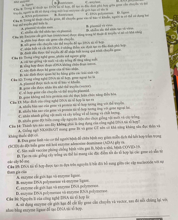 nhờ enzyme B. Restrictase. C. amylase.
A. ligase.
Câu 8: Trong kĩ thuật tạo DNA tái tổ hợp, để tạo ra đầu dính phù hợp giữa gene cần chuyển và thể
truyền, người ta đã sử dụng cùng một loại enzyme cắt giới hạn có tên là
A. RNA polymerase. B. Restrictase C. DNA polymerase. D. ligase.
Câu 9: Trong kĩ thuật chuyển gene, để chuyển gene vào tế bào vi khuẩn, người ta có thể sử dụng hai
loại thể truyền phổ biển là
A. plasmid và nấm men. B. plasmid và virus.
C. nhiễm sắc thể nhân tạo và plasmid. D. nhiễm sắc thể nhân tạo và virus.
Câu 10: Enzyme cắt giới hạn (restrictase) được dùng trong kĩ thuật di truyền vì nó có khả năng
A. phân loại được các gene cần chuyển.
B. nổi gene cần chuyển vào thể truyền đề tạo DNA tái tổ hợp.
C. nhận biết và cắt đứt DNA ở những điểm xác định tạo ra đầu dính phù hợp.
D. đánh đấu được thể truyền để dễ nhận biết trong quá trình chuyển gene.
Câu 11: Trong công nghệ gene, phiên mã ngược giúp
A. cải tạo giống vật nuôi và cây trồng để tăng năng suất.
B. tổng hợp được đoạn cDNA không chứa đoạn intron.
C. xác định được hệ gene của tế bào nhận.
D. xác định được quan hệ họ hàng giữa các loài sinh vật.
Câu 12: Trong công nghệ DNA tái tổ hợp, gene ngoại lai là
A. plasmid được tách ra từ tế bào vi khuẩn.
B. gene cần được nhân lên nhờ thể truyền (vector).
C. tổ hợp gene cần chuyển và thể truyền plasmid.
D. gene không mã hóa protein mà chỉ thực hiện chức năng điều hòa.
Câu 13: Mục đích của công nghệ DNA tái tổ hợp là tạo ra
A. nhiều bản sao của gene và protein tái tổ hợp tương ứng với thể truyền.
B. nhiều bản sao của gene và protein tái tổ hợp tương ứng với gene ngoại lai.
C. nhân nhanh giống vật nuôi và cây trồng về số lượng và chất lượng.
D. nhiều gene đột biến cung cấp nguyên liệu cho chọn giống vật nuôi và cây trồng.
Câu 14: Thành tựu nào sau đây không phải là ứng dụng của công nghệ DNA tái tổ hợp?
A. Giống ngô NK66Bt/GT mang gene Bt và gene GT nên có khả năng kháng sâu đục thân và
kháng thuốc diệt cỏ.
B. Đưa gene lành vào cơ thể người bệnh để chữa bệnh suy giảm miễn dịch thể kết hợp trầm trọng
(SCID) do đột biến gene mã hoá enzyme adenosine deaminase (ADA) gây ra.
C. Sản xuất vaccine phòng chống bệnh viên gan B, bệnh u nhú, bệnh COVID-19.
D. Tạo ra các giống cây trồng ưu thế lai mang các đặc điểm tốt do tổ hợp lại các gene có sẵn từ
các cây bố mẹ.
Câu 15: DNA tái tổ hợp được tạo ra dựa trên nguyên lí bắt đôi bổ sung giữa các cặp nucleotide với sự
tham gia của
A. enzyme cắt giới hạn và enzyme ligase.
B. enzyme DNA polymerase và enzyme ligase.
C. enzyme cắt giới hạn và enzyme DNA polymerase.
D. enzyme DNA polymerase và enzyme RNA polymerase.
Câu 16: Nguyên lí của công nghệ DNA tái tổ hợp là:
A. sử dụng enzyme cắt giới hạn để cắt lấy gene cần chuyển và vector, sau đó nổi chúng lại với
nhau bằng enzyme ligase để tạo DNA tái tổ hợp.