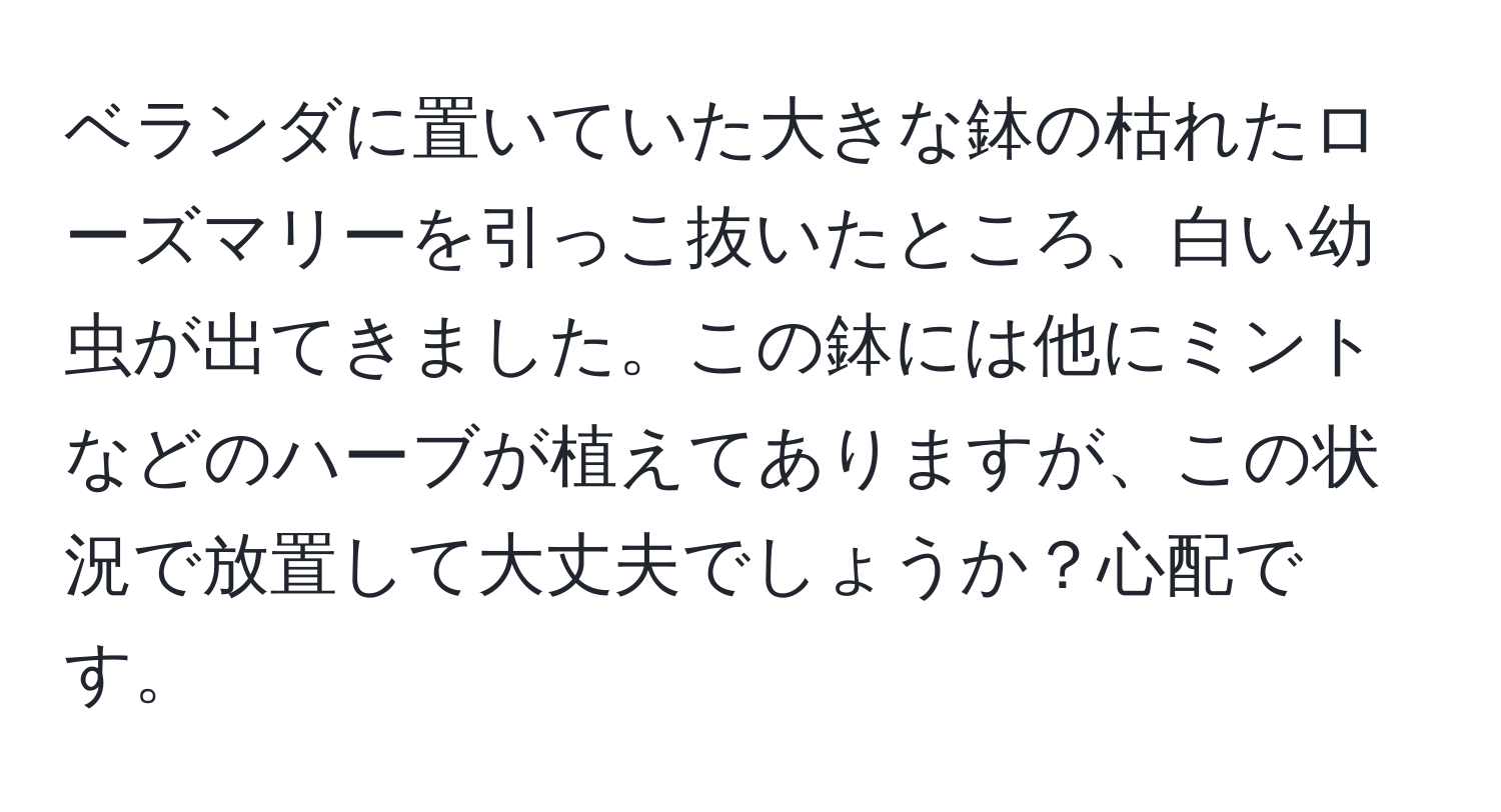 ベランダに置いていた大きな鉢の枯れたローズマリーを引っこ抜いたところ、白い幼虫が出てきました。この鉢には他にミントなどのハーブが植えてありますが、この状況で放置して大丈夫でしょうか？心配です。