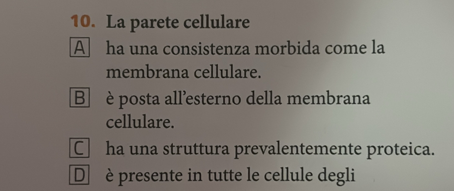 La parete cellulare
A ha una consistenza morbida come la
membrana cellulare.
B è posta all'esterno della membrana
cellulare.
□ha una struttura prevalentemente proteica.
D è presente in tutte le cellule degli