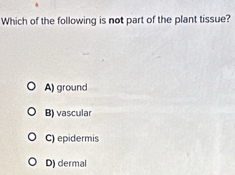 Which of the following is not part of the plant tissue?
A) ground
B) vascular
C) epidermis
D) dermal