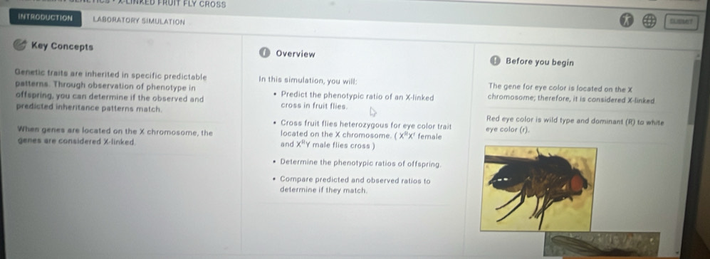 nked frui fly croßs 
INTRODUCTION LABORATORY SIMULATION Dussef 
Key Concepts Overview Before you begin 
Genetic traits are inherited in specific predictable In this simulation, you will: The gene for eye color is located on the X
patterns. Through observation of phenotype in Predict the phenotypic ratio of an X -linked chromosome; therefore, it is considered X -linked 
offspring, you can determine if the observed and cross in fruit flies. 
predicted inheritance patterns match. Red eye color is wild type and dominant (R) to white 
Cross fruit flies heterozygous for eye color trait eye color (r). 
When genes are located on the X chromosome, the located on the X chromosome. C x^8x^r
genes are considered X -linked. and X^RY male flies cross ) female 
Determine the phenotypic ratios of offspring. 
Compare predicted and observed ratios to 
determine if they match.