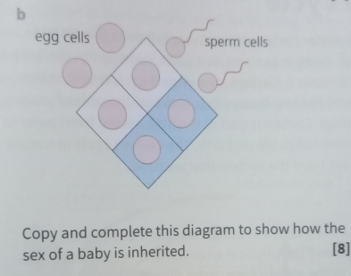 Copy and complete this diagram to show how the 
sex of a baby is inherited. [8]