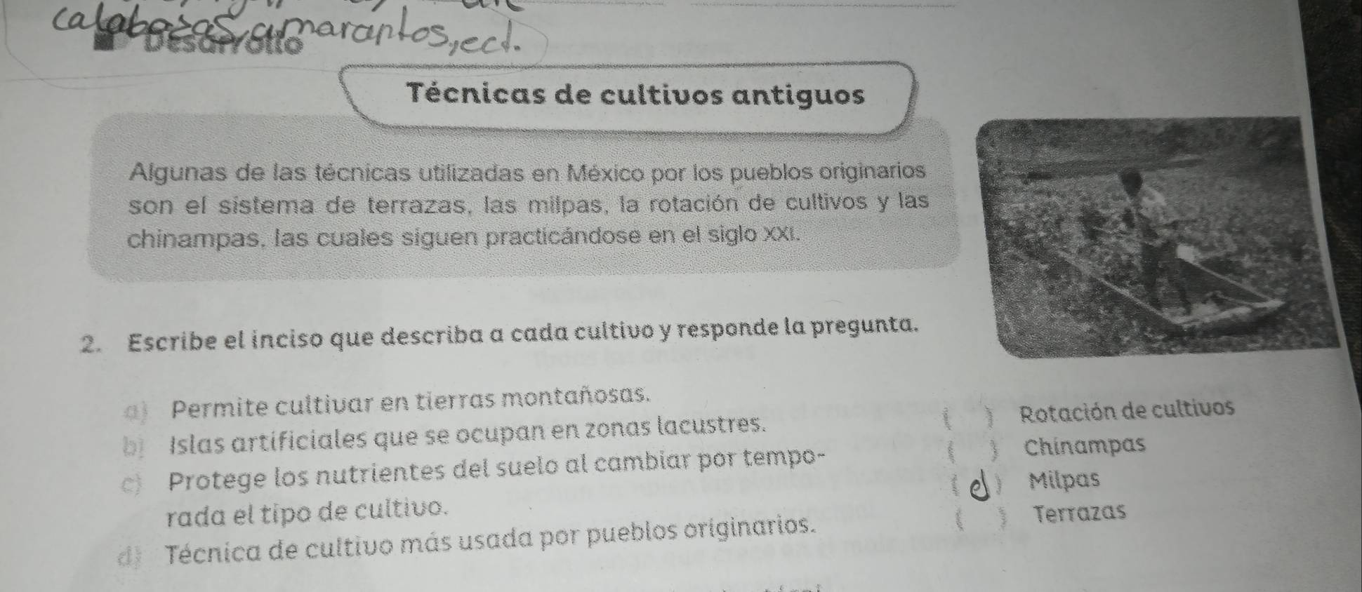 Técnicas de cultivos antiguos
Algunas de las técnicas utilizadas en México por los pueblos originarios
son el sistema de terrazas, las milpas, la rotación de cultivos y las
chinampas, las cuales siguen practicándose en el siglo XXI.
2. Escribe el inciso que describa a cada cultivo y responde la pregunta.
a) Permite cultivar en tierras montañosas.
( 1
b Islas artificiales que se ocupan en zonas lacustres. Rotación de cultivos
c) Protege los nutrientes del suelo al cambiar por tempo-
 Chinampas
rada el tipo de cultivo.  Milpas
d) Técnica de cultivo más usada por pueblos originarios. Terrazas